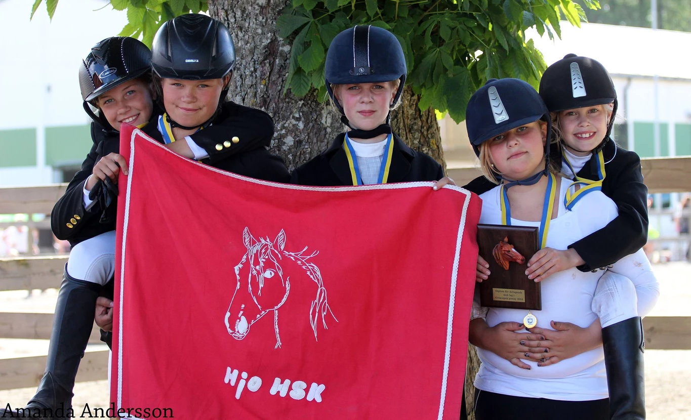 Hjo hästsportsklubb, häst, klubb